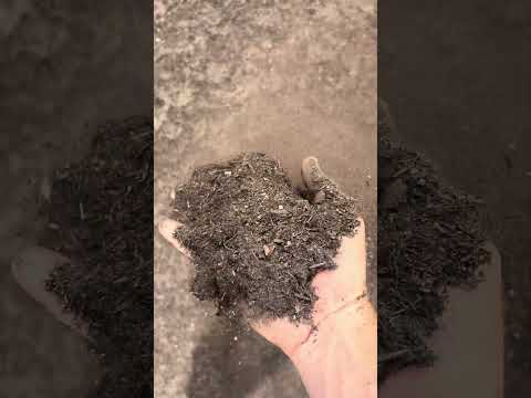 Desert Compost Close up Video